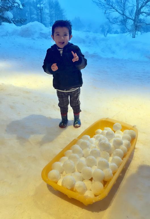 מלון ליאמה Snowball Chalet At Madarao Mountain מראה חיצוני תמונה